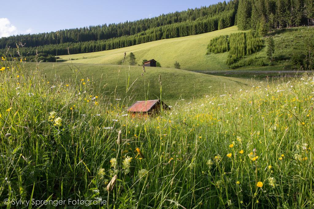 Bergkristall *